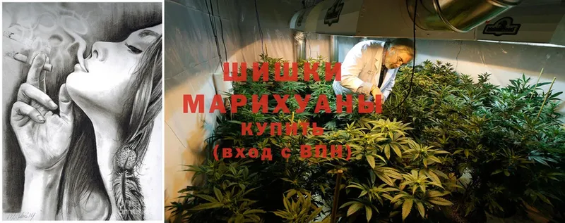 Марихуана SATIVA & INDICA  Обнинск 